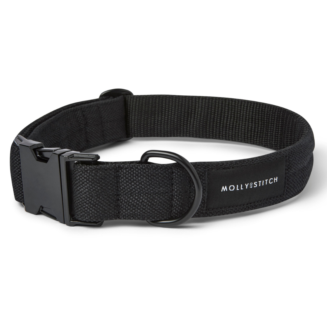 Plain black sale dog collar