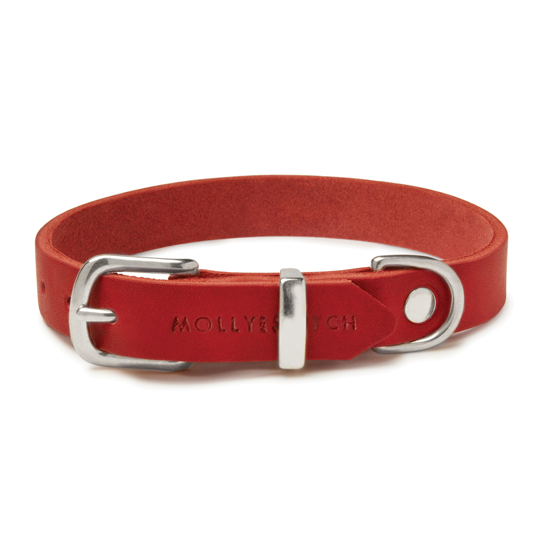 Louis Vuitton Dog Collar Review - Luxury Dog Gift