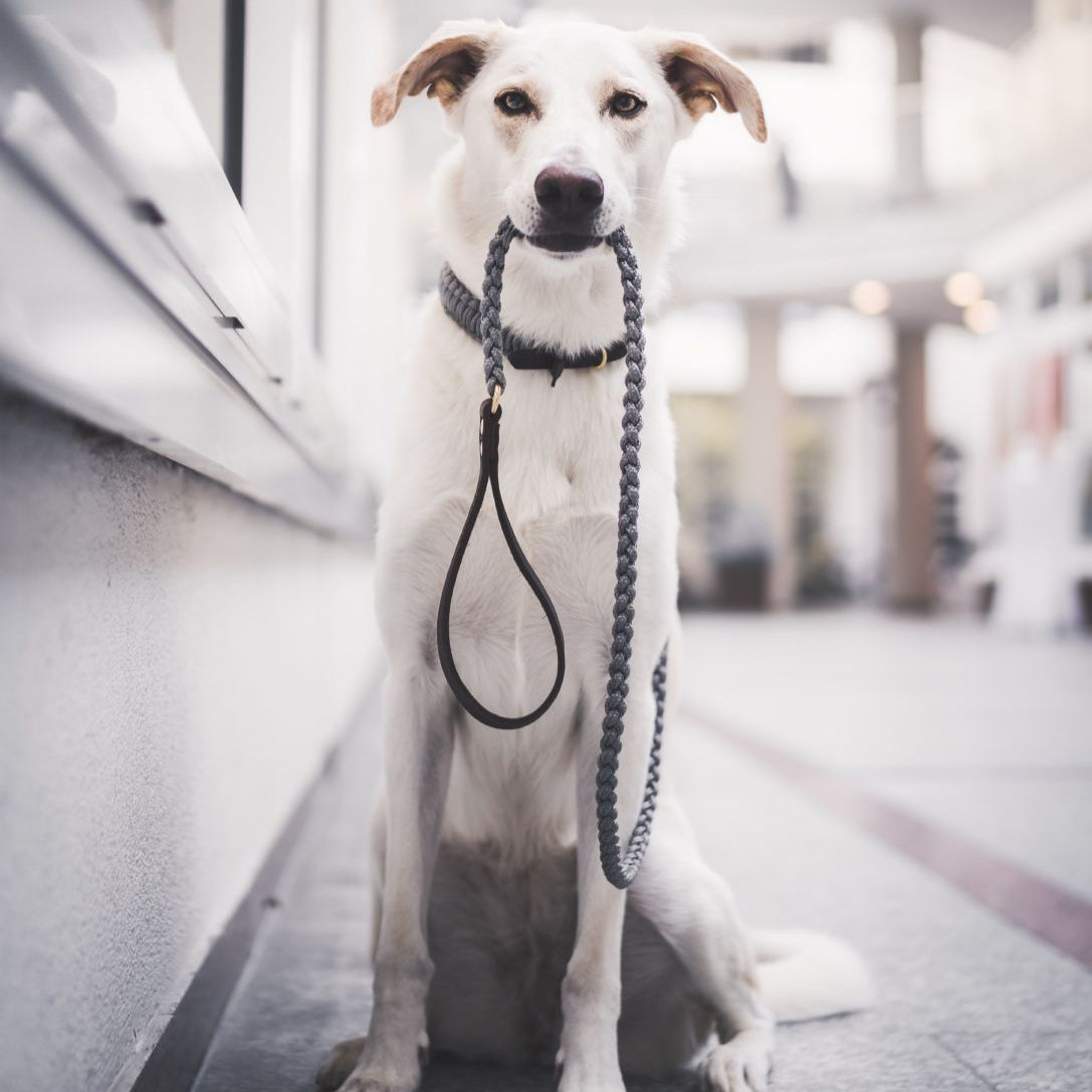 Touch of Leather Dog Leash - Grey