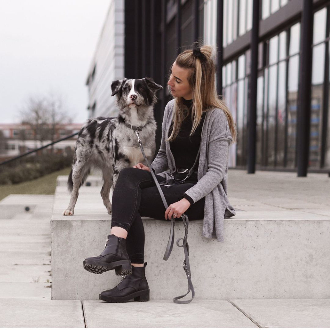 Soft leather dog collar with solid brass and steel options, designed for both comfort and style