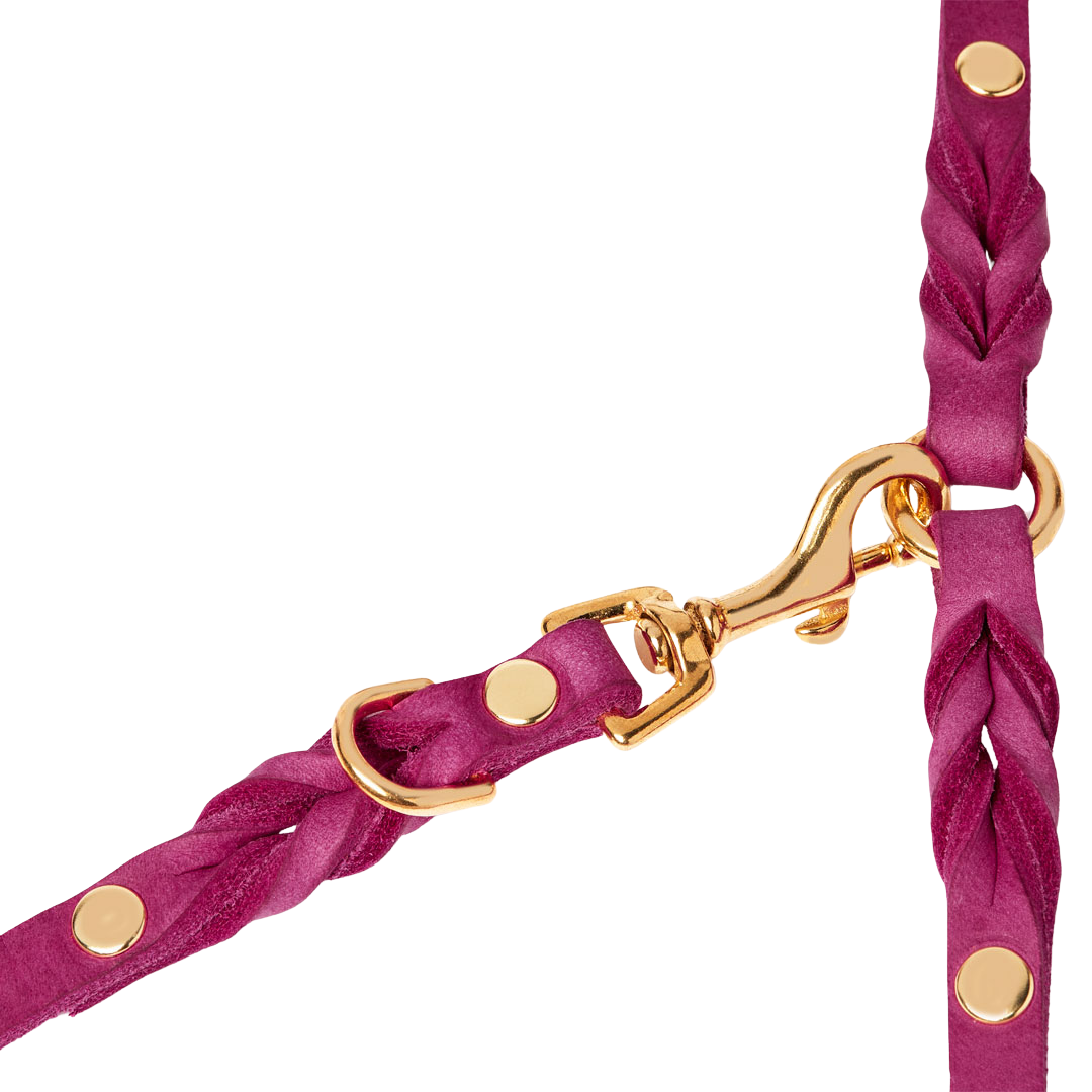 Adjustable leather dog leash with soft braided handle and solid brass clasps, handmade in Austria