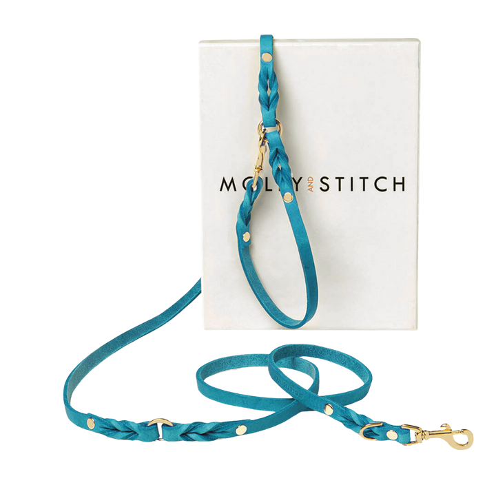 Butter Leather 3x Adjustable Dog Leash - Fiji