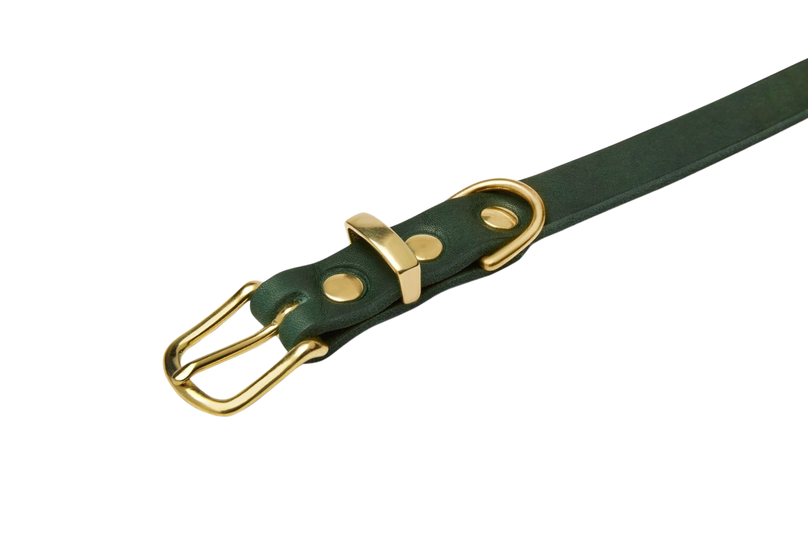 Soft leather dog collar with solid brass and steel options, designed for both comfort and style