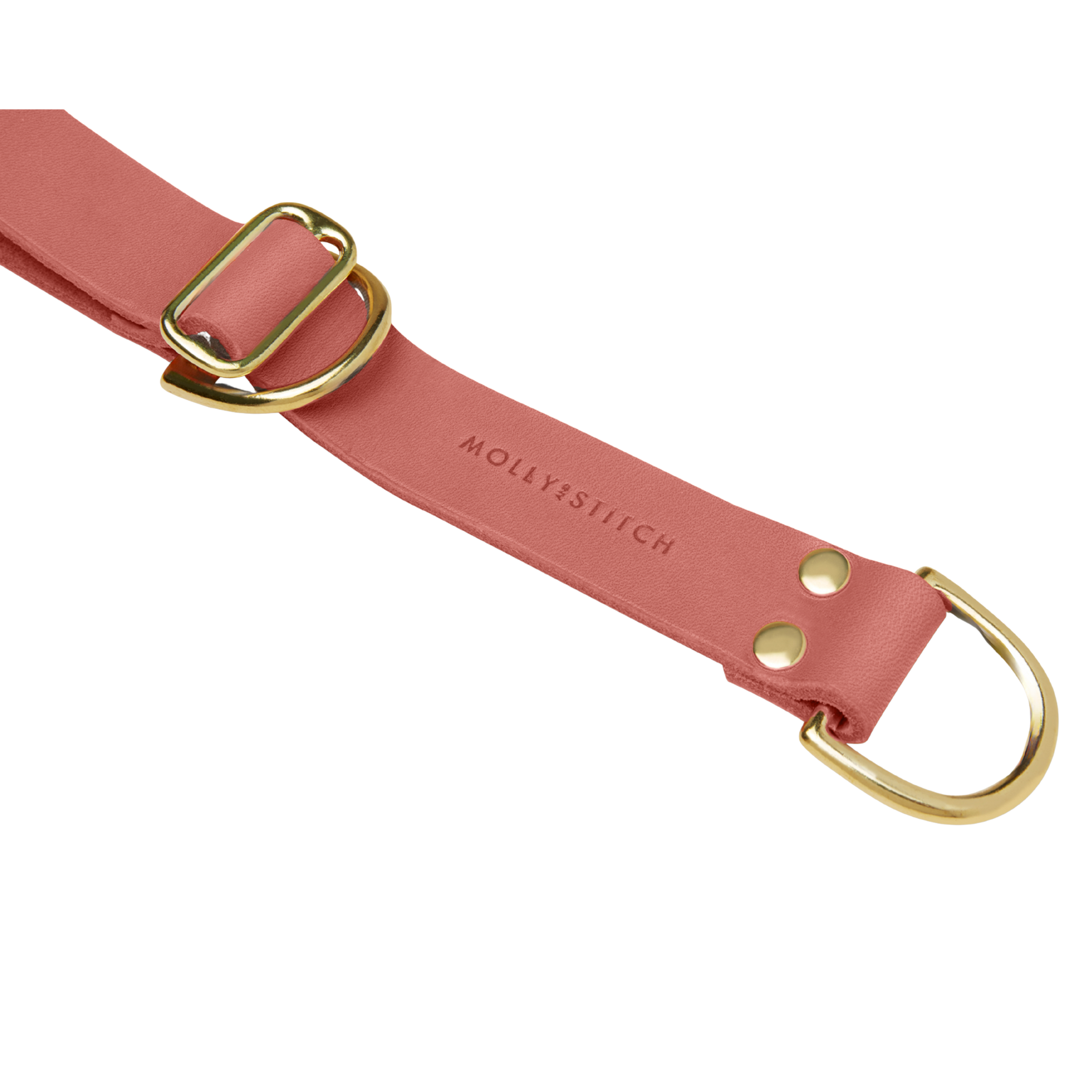Butter Leather Retriever Dog Collar - Coral