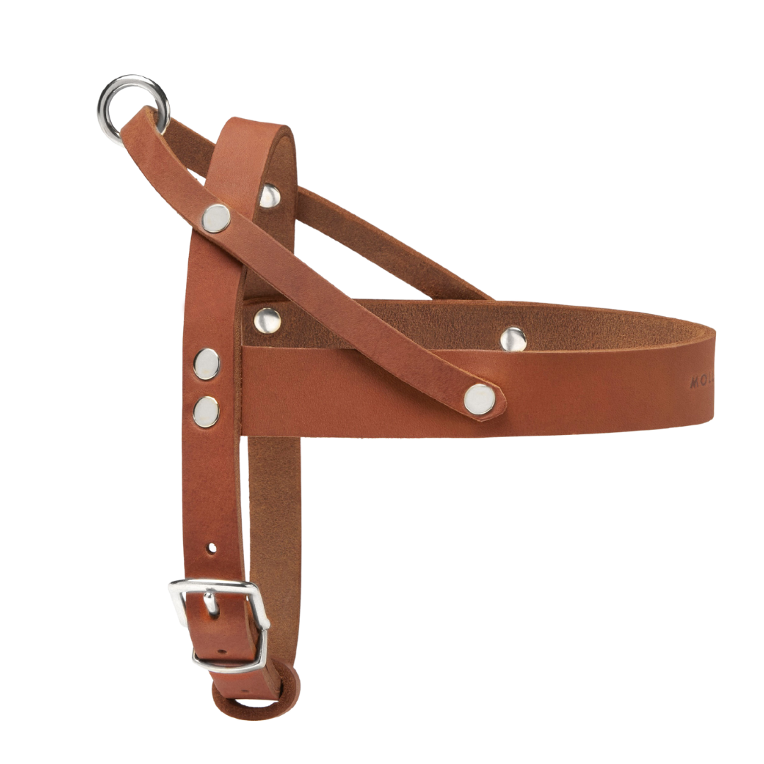 Butter Leather Dog Harness - Sahara Cognac