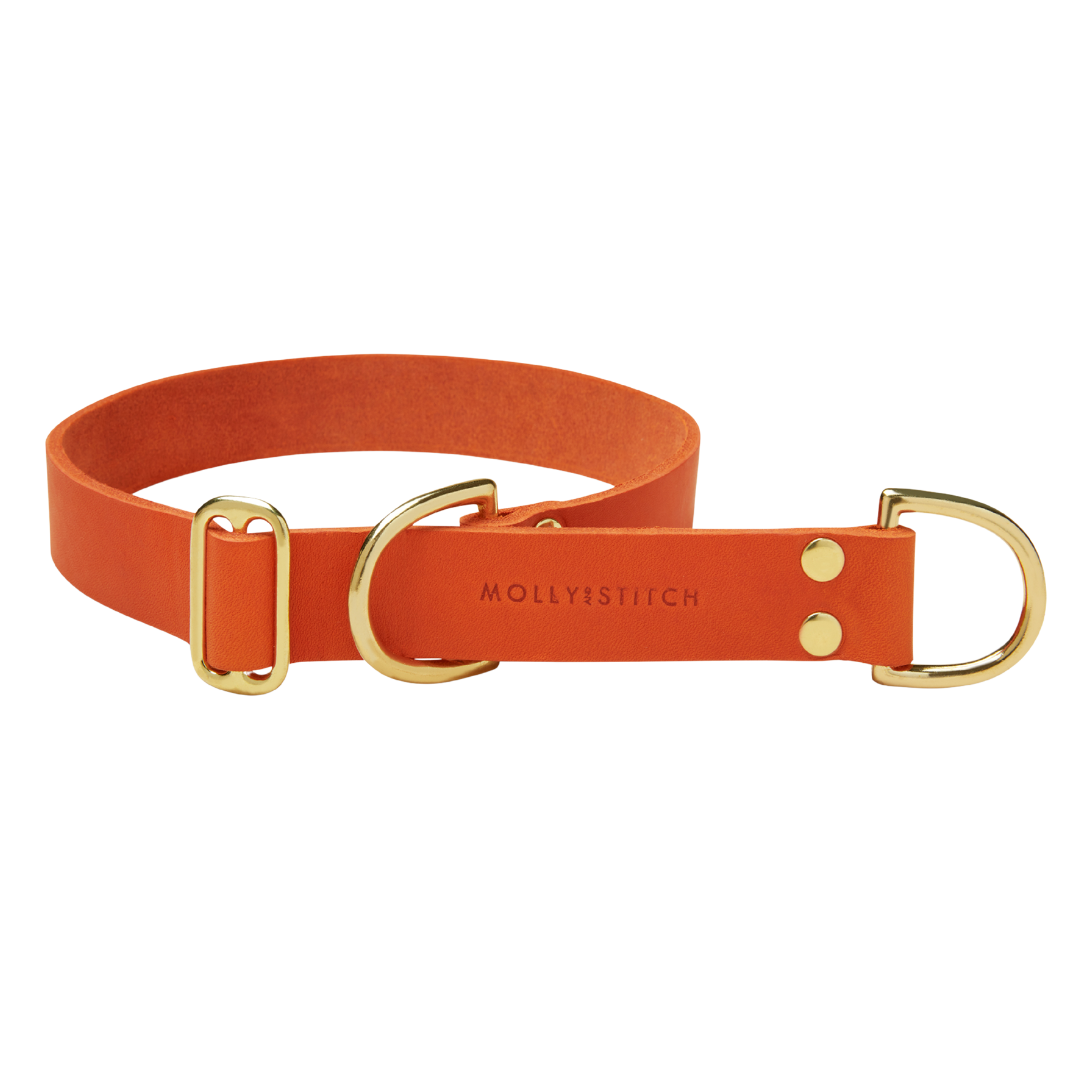 Butter Leather Retriever Dog Collar - Mango