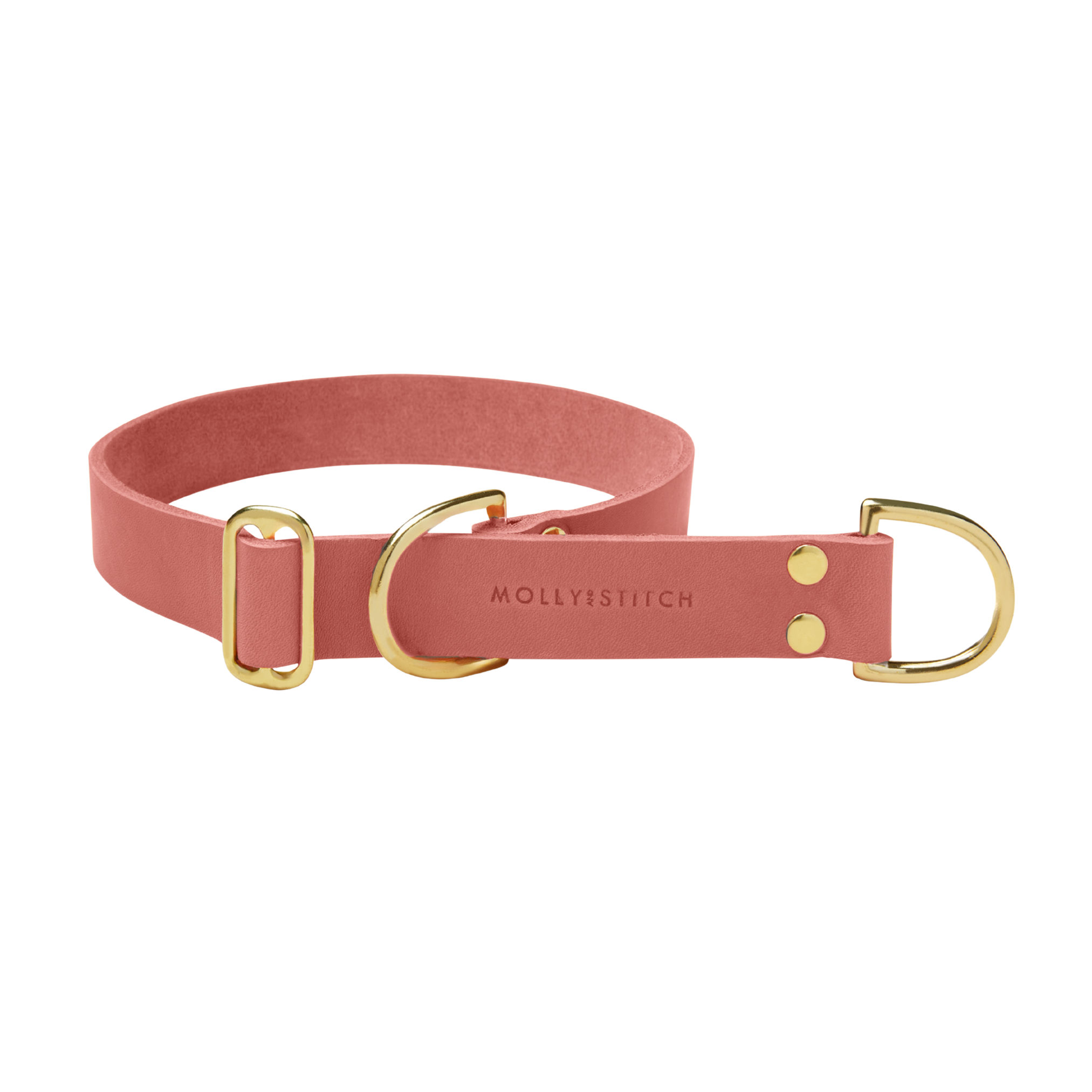 Butter Leather Retriever Dog Collar - Coral
