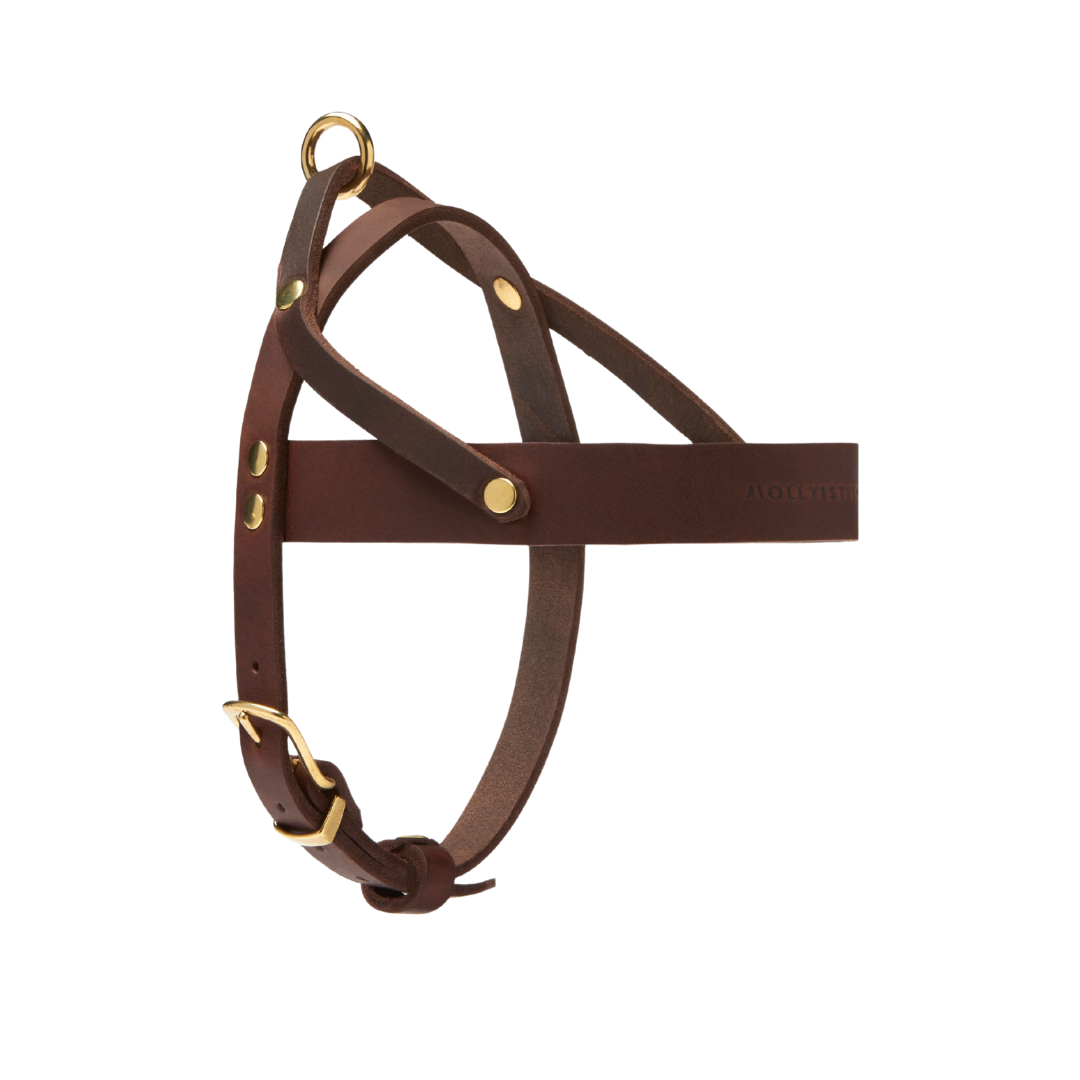 Butter Leather Dog Harness - Classic Brown