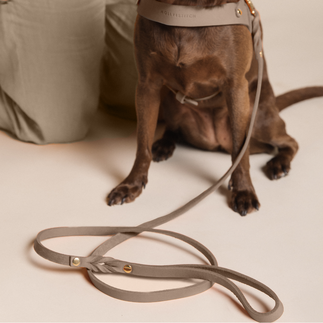 Butter Leather 3x Adjustable Dog Leash - Taupe