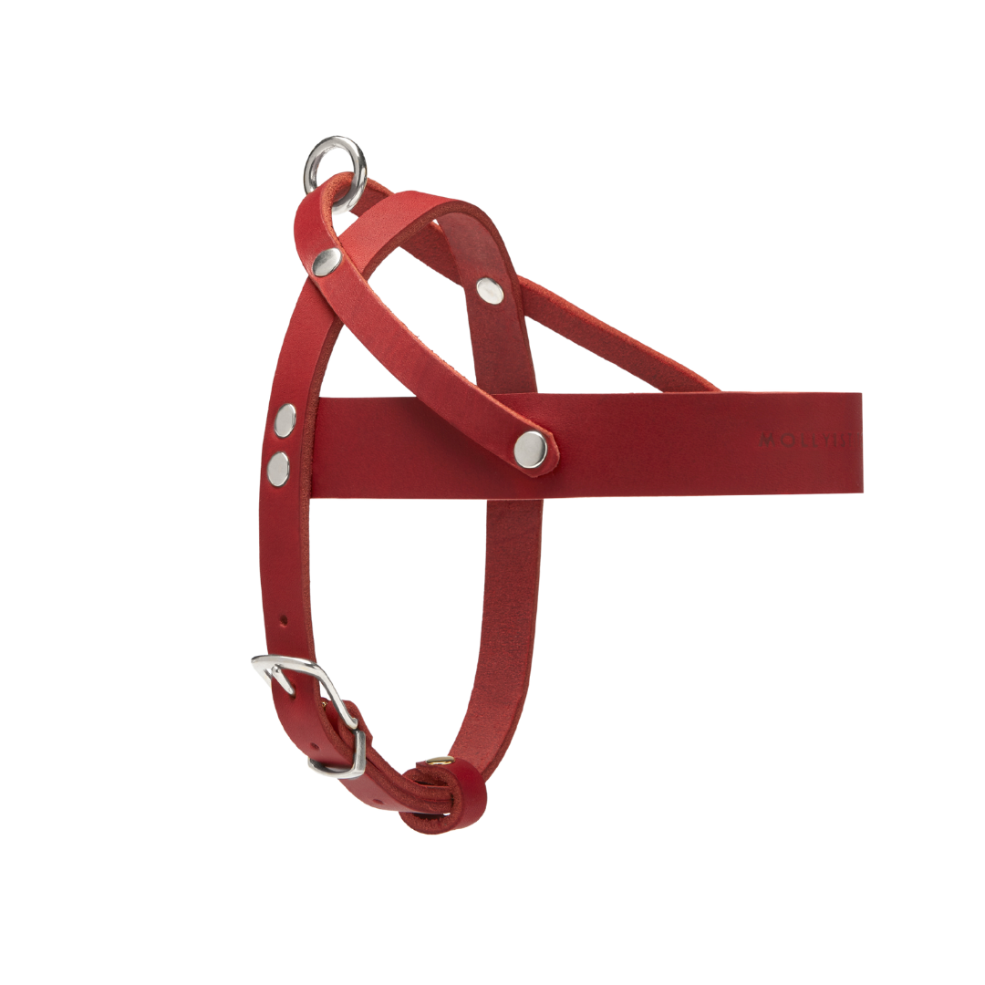 Soft leather dog collar with solid brass and steel options, designed for both comfort and style