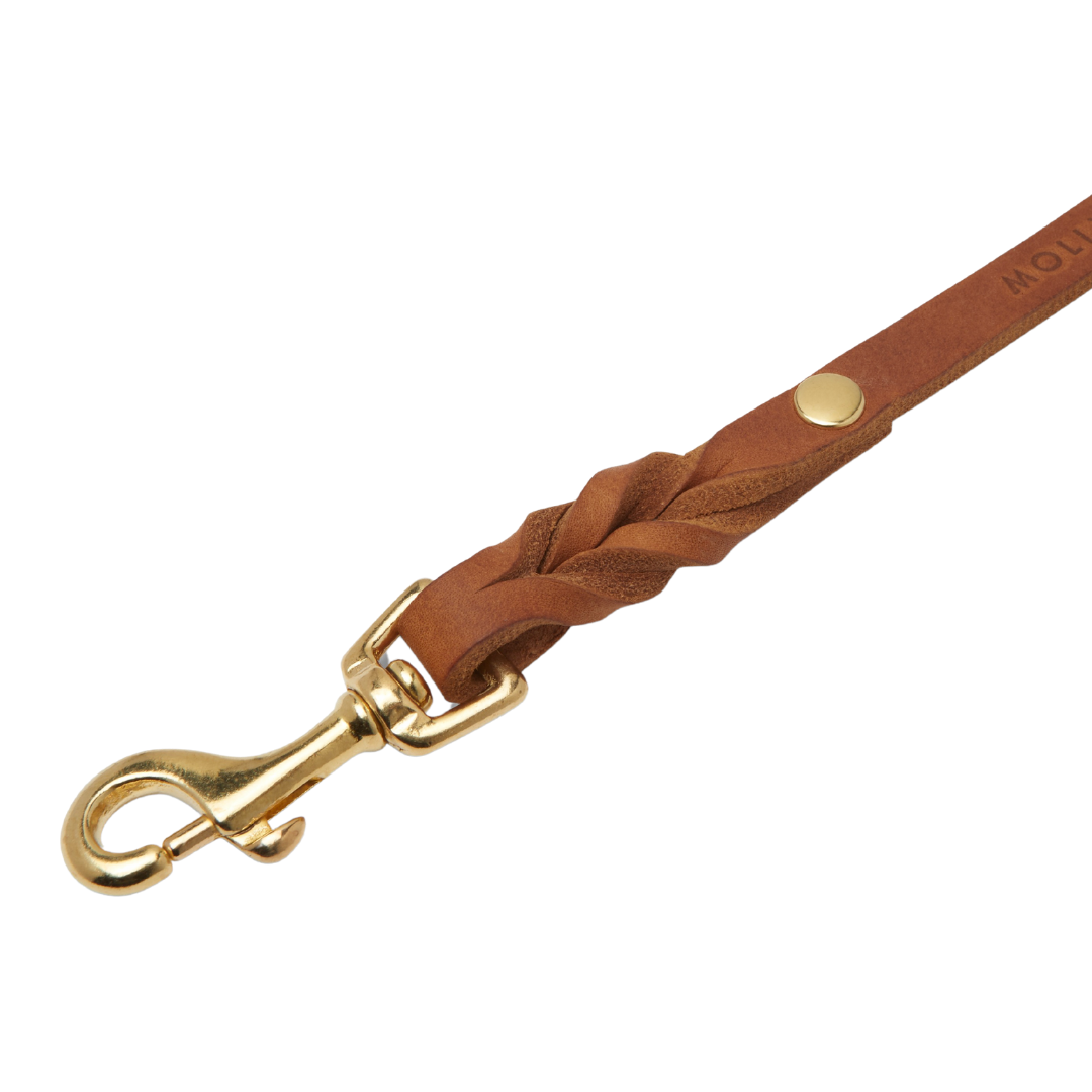 Premium leather leash with a soft, adjustable handle and solid brass hardware, handmade in Austria