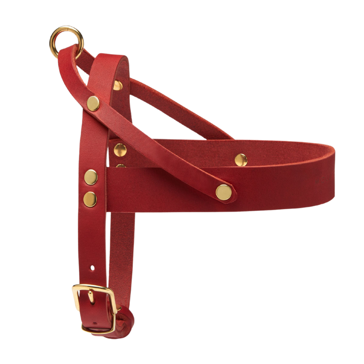 Butter Leather Dog Harness - Chili Red