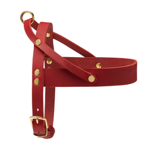 Butter Leather Dog Harness - Chili Red