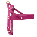 Butter Leather Dog Harness - Flamingo