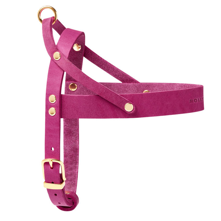 Butter Leather Dog Harness - Flamingo