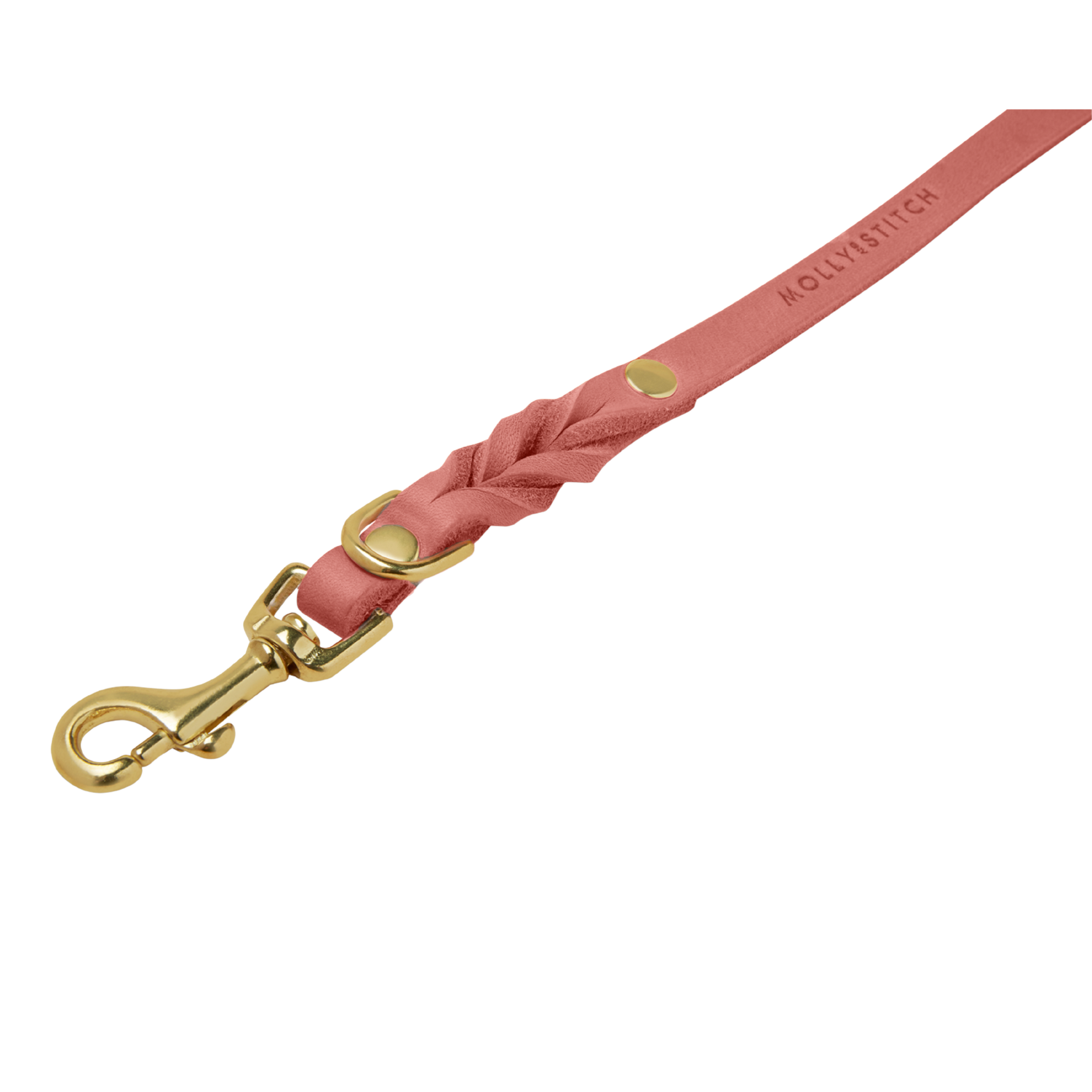 Butter Leather City Dog Leash - Coral