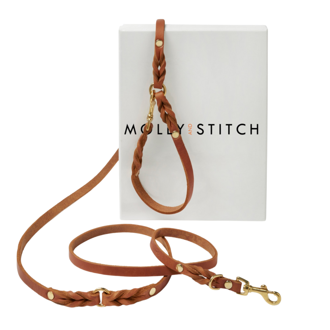 Premium leather leash with a soft, adjustable handle and solid brass hardware, handmade in Austria