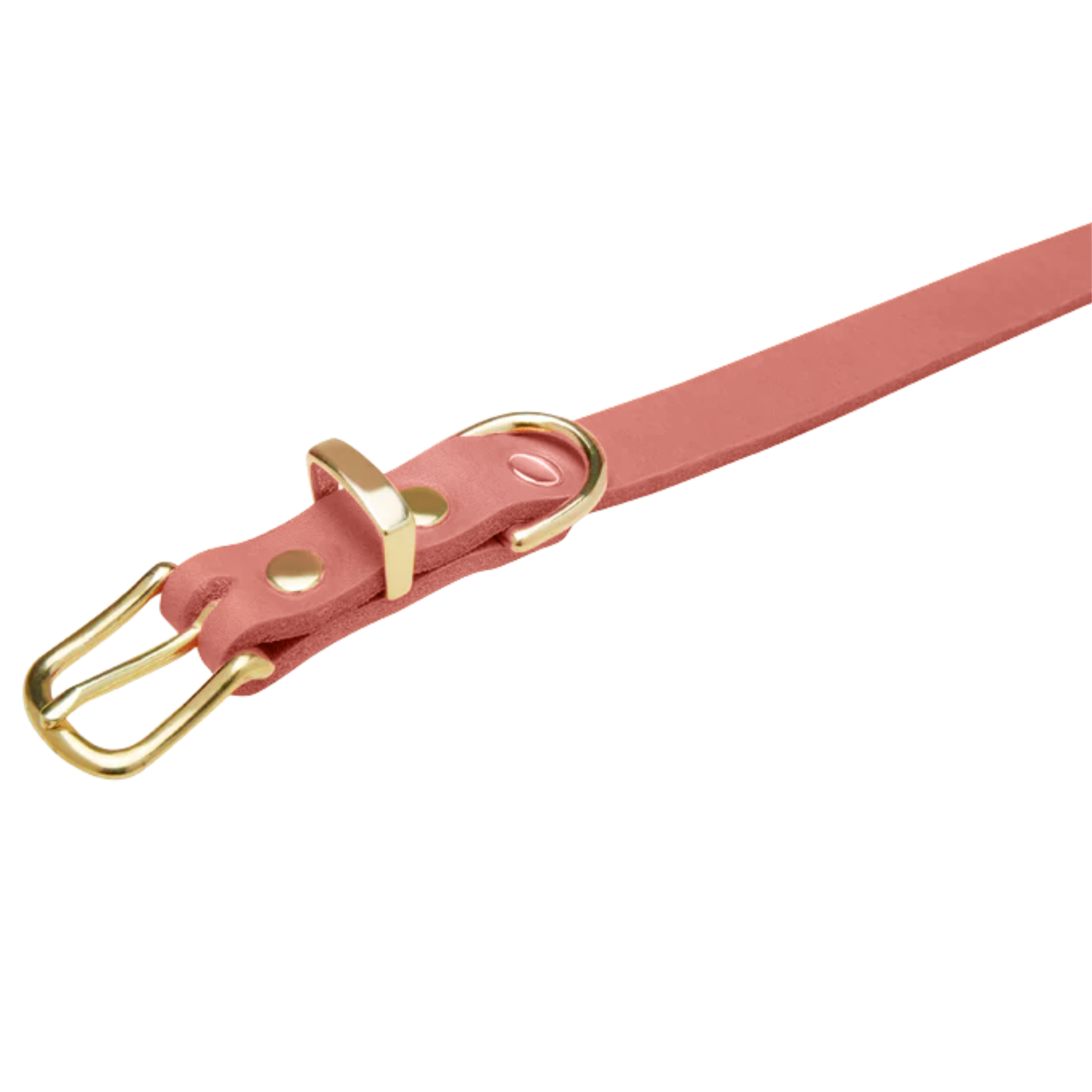 Butter Leather Dog Collar - Coral