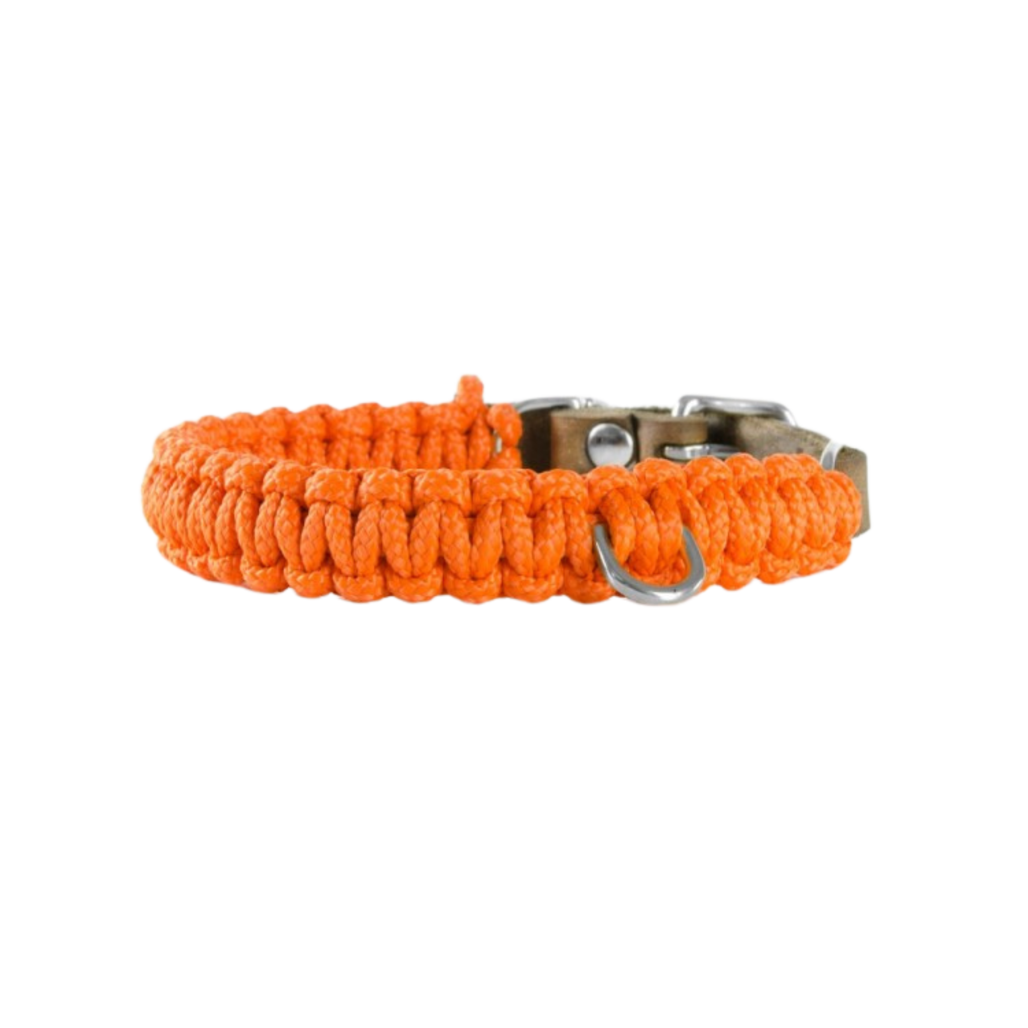 Touch of Leather Dog Collar - Pumpkin