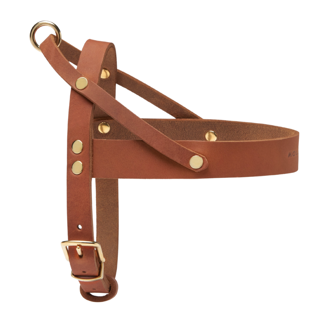 Butter Leather Dog Harness - Sahara Cognac