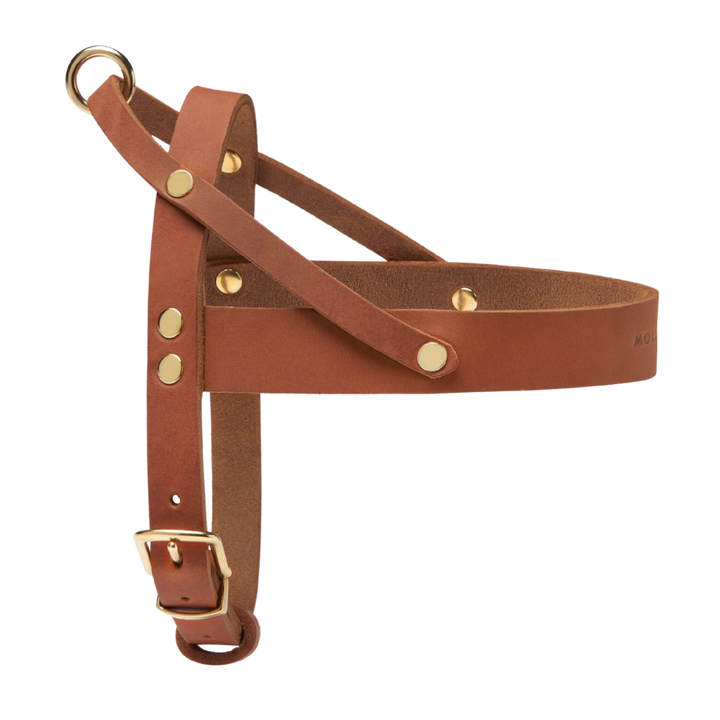 Butter Leather Dog Harness - Sahara Cognac