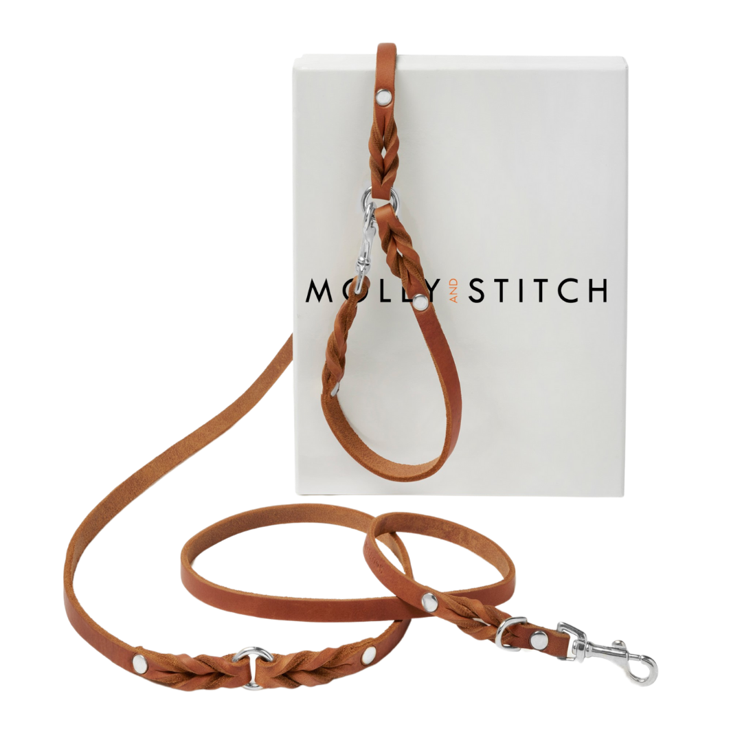 Premium leather leash with a soft, adjustable handle and solid silver hardware, handmade in Austria