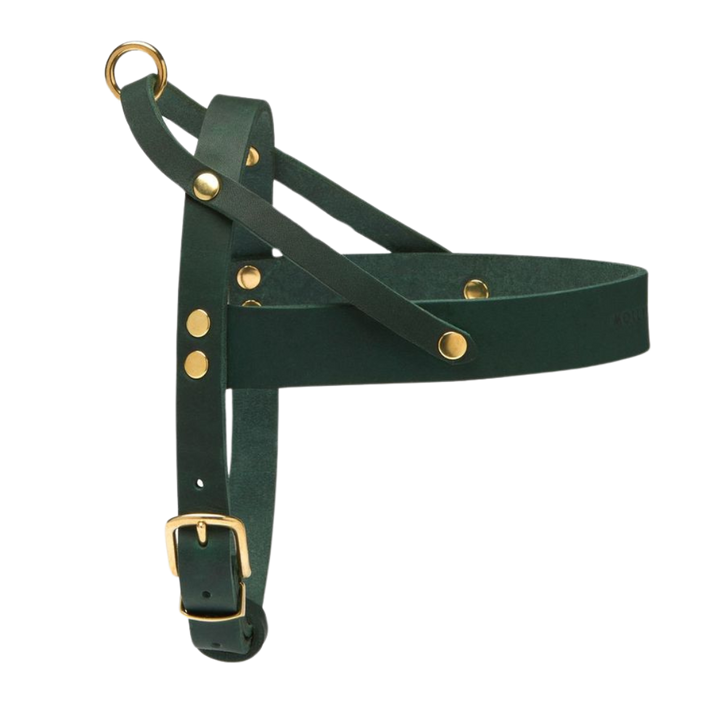 Butter Leather Dog Harness - Forest Green