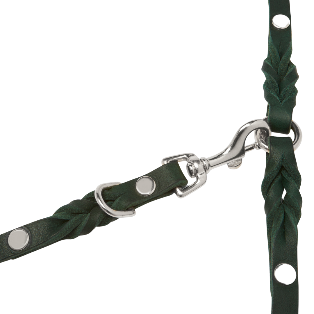 Luxurious Forest Green leather leash with solid silver hardware and elegant braided detailing