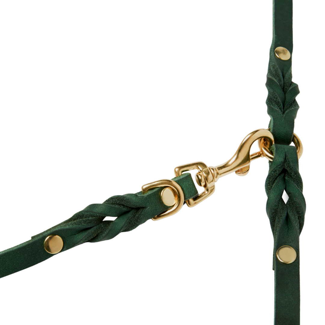 Luxurious Forest Green leather leash with solid brass hardware and elegant braided detailing