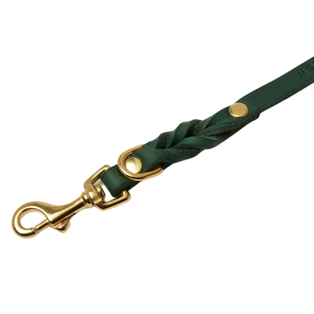 Luxurious Forest Green leather leash with solid brass hardware and elegant braided detailing