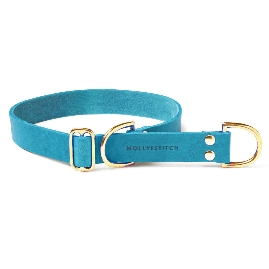 Butter Leather Retriever Dog Collar - Fiji Blue