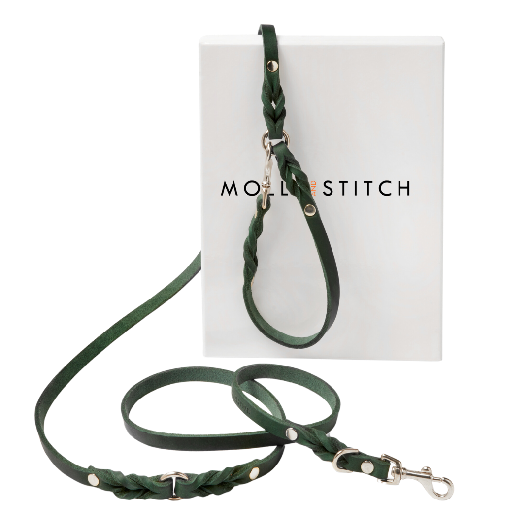 Luxurious Forest Green leather leash with solid brass hardware and elegant braided detailing