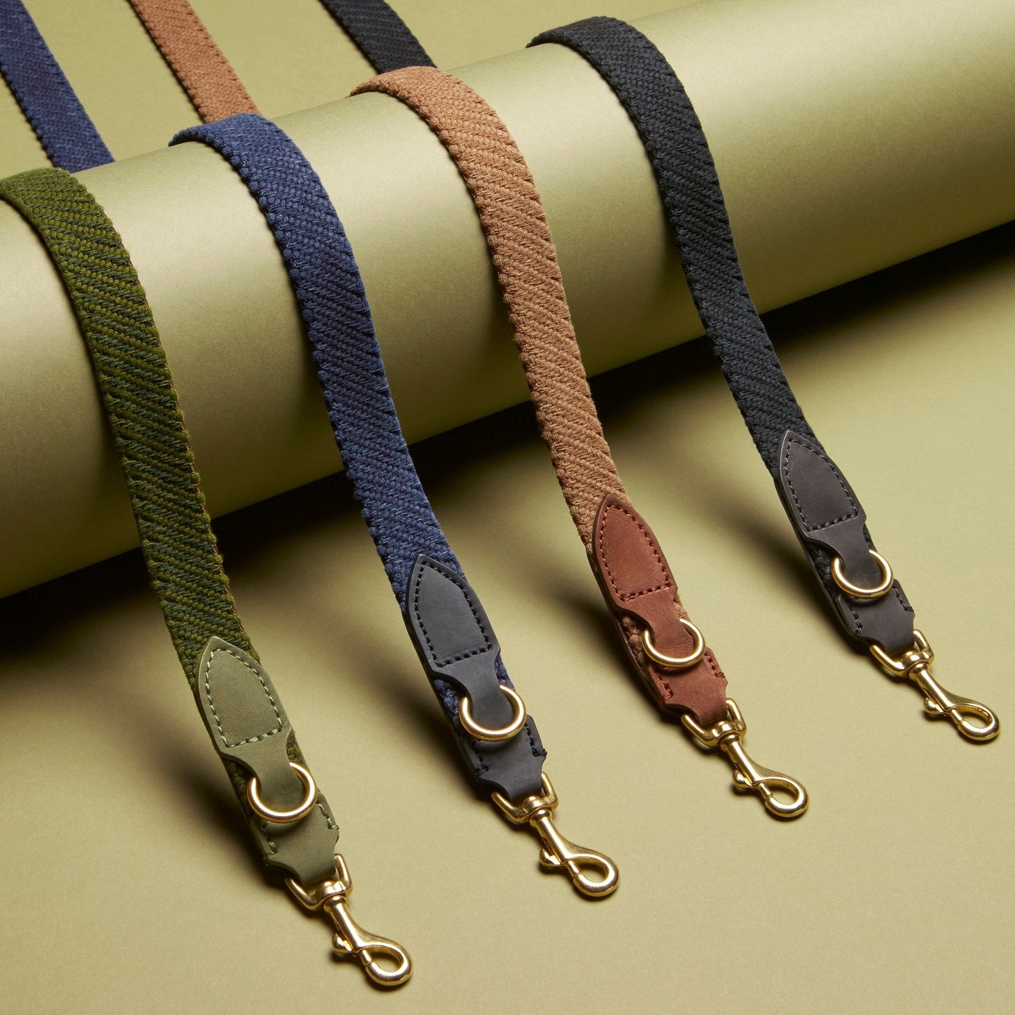 Patagonia 3x Adjustable Dog Leash - Moss