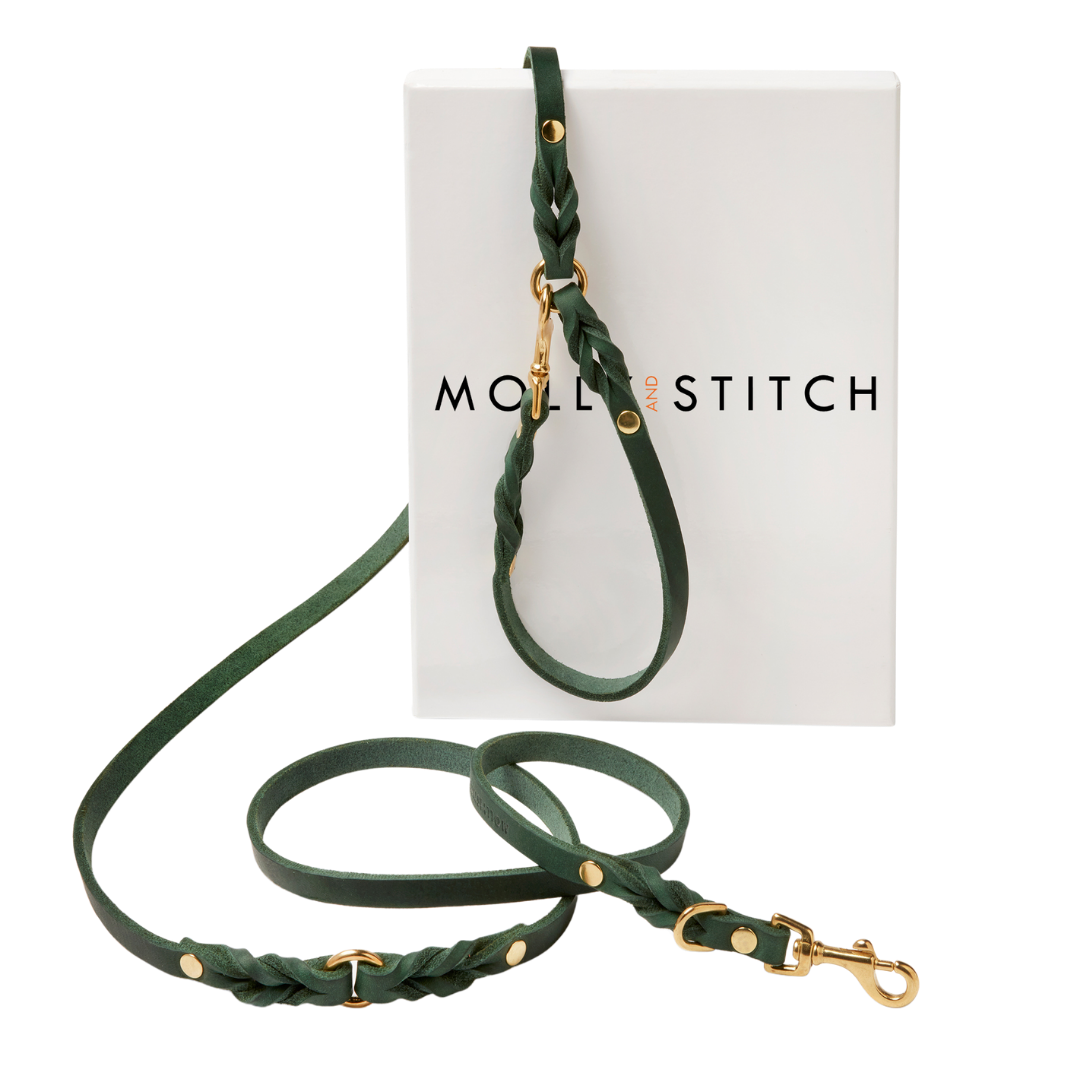 Luxurious Forest Green leather leash with solid brass hardware and elegant braided detailing