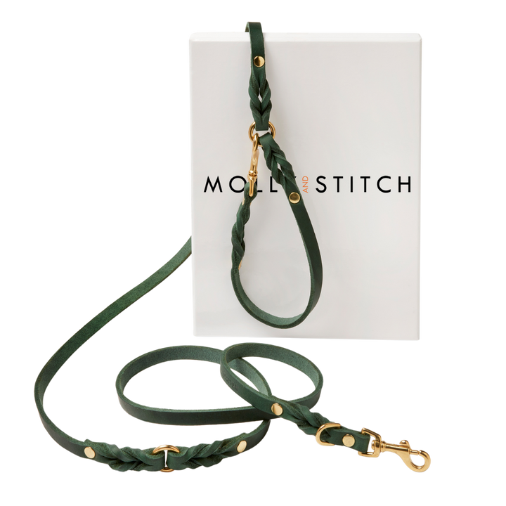 Butter Leather 3x Adjustable Dog Leash - Forest Green