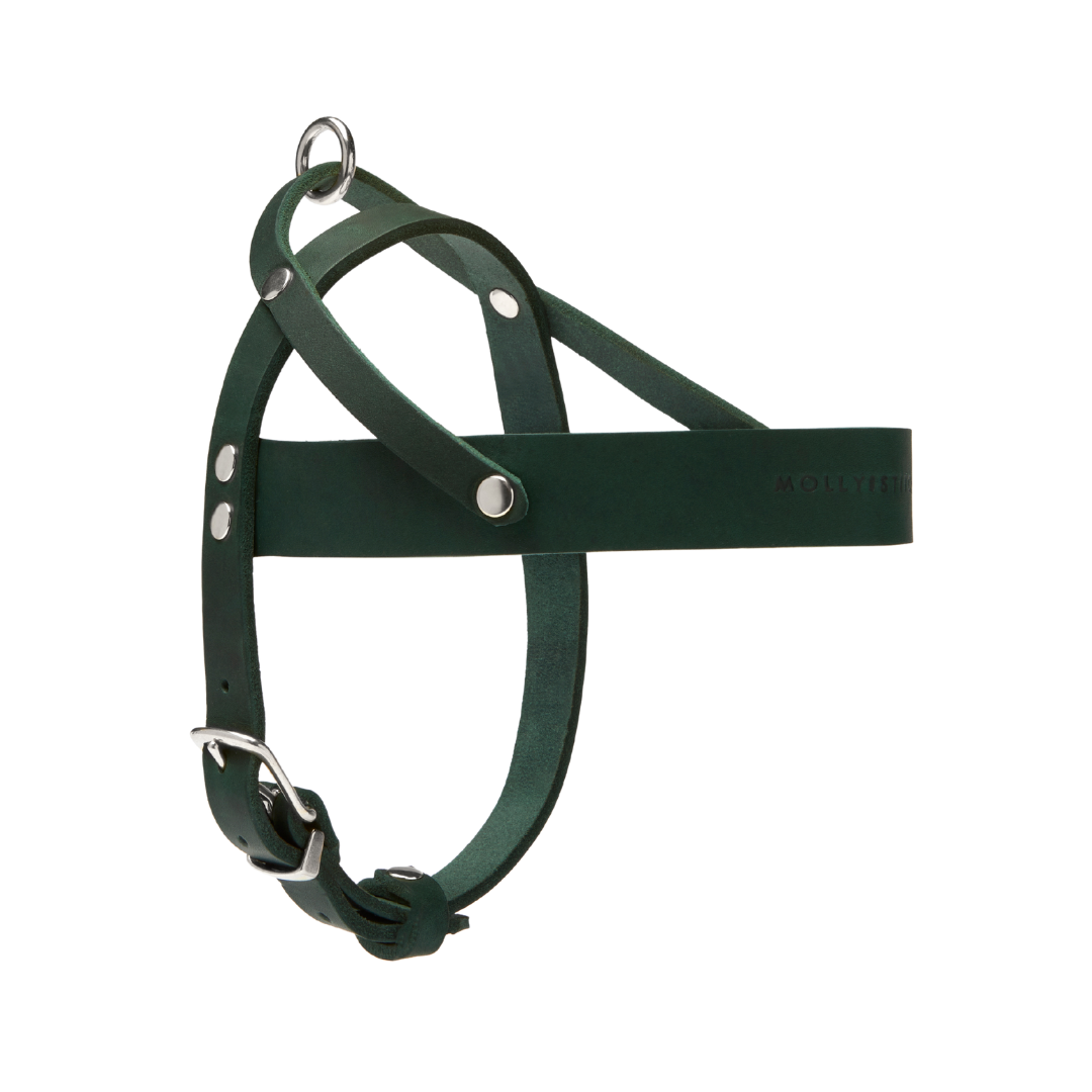 Butter Leather Dog Harness - Forest Green