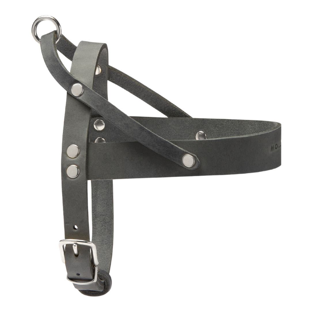 Butter Leather Dog Harness - Timeless Grey