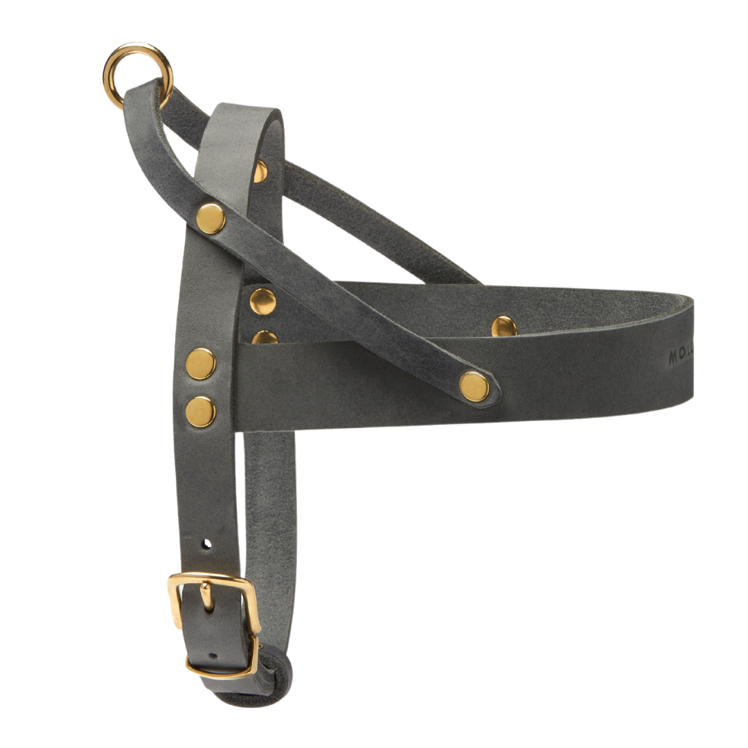 Butter Leather Dog Harness - Timeless Grey