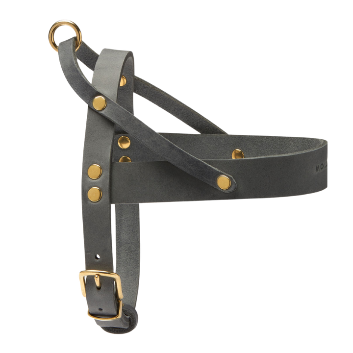 Butter Leather Dog Harness - Timeless Grey