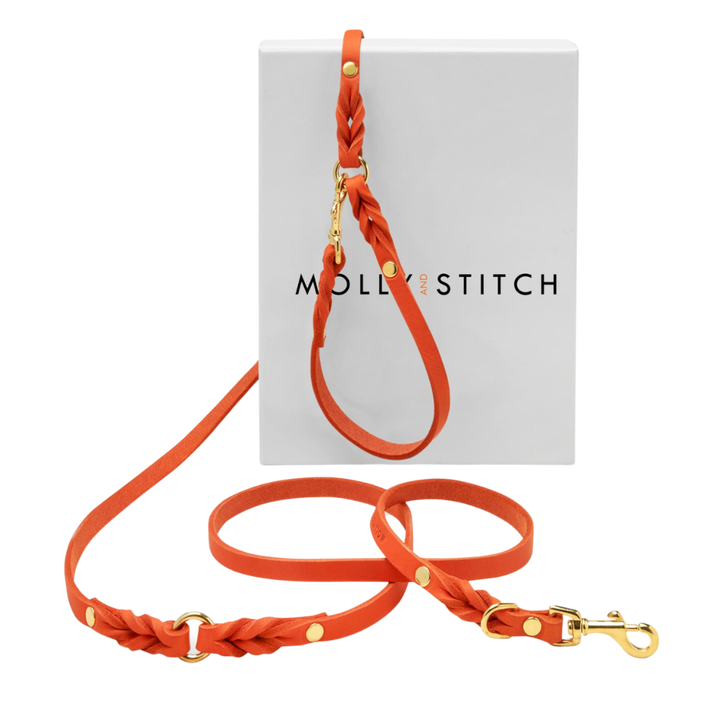 Butter Leather 3x Adjustable Dog Leash - Mango