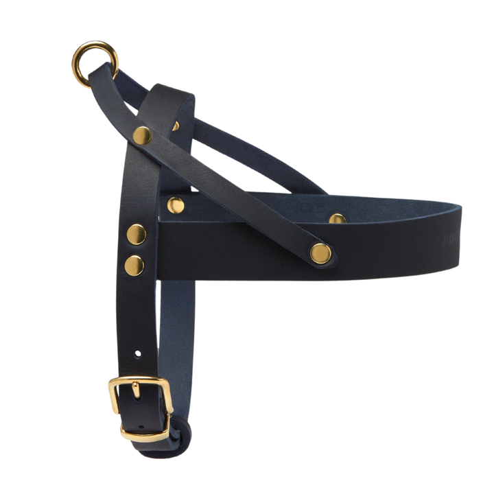 Butter Leather Dog Harness - Navy Blue