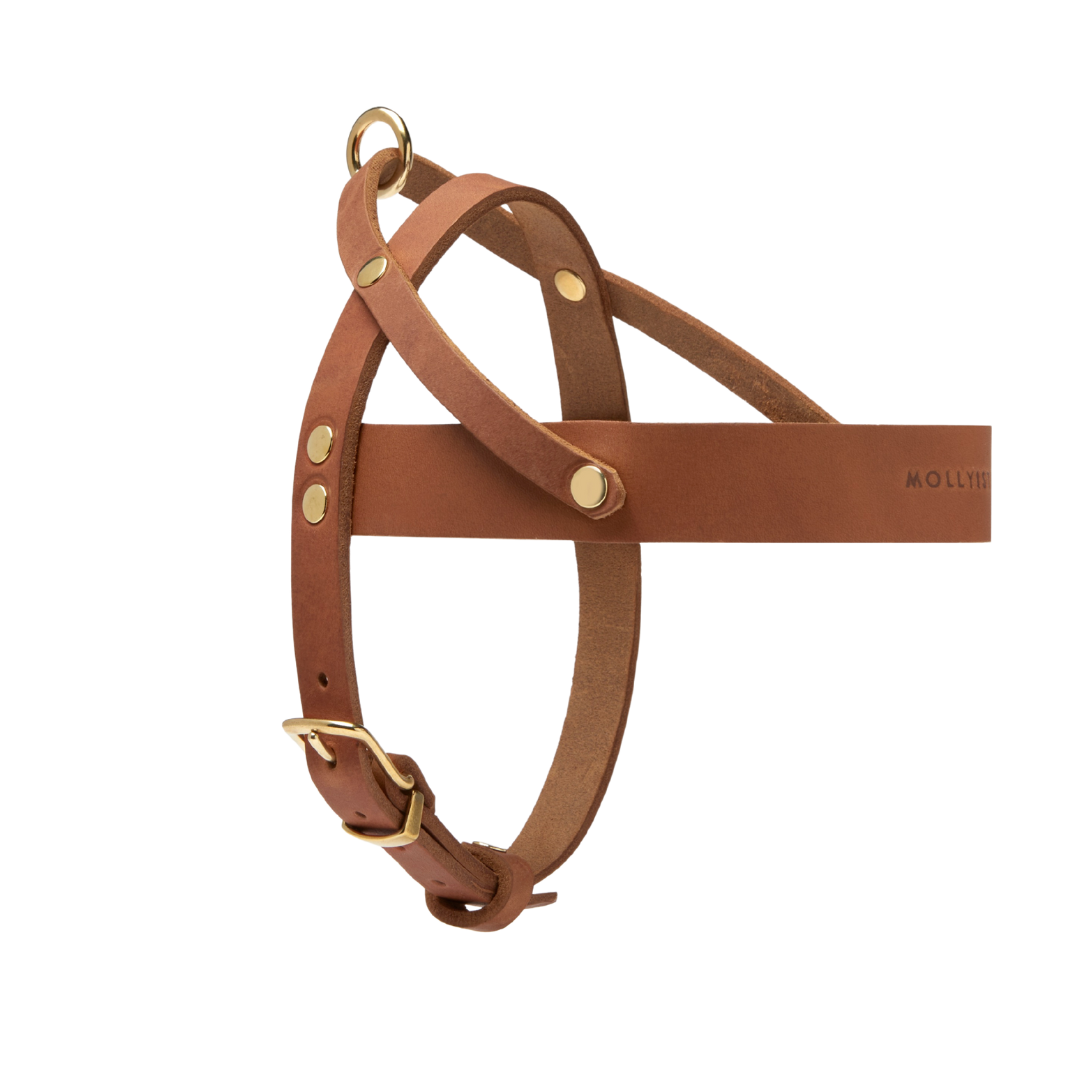 Butter Leather Dog Harness - Sahara Cognac