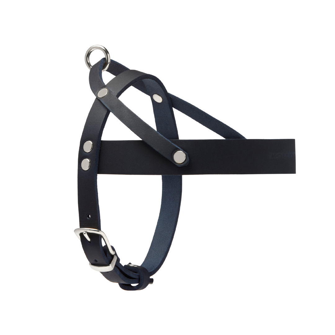 Butter Leather Dog Harness - Navy Blue