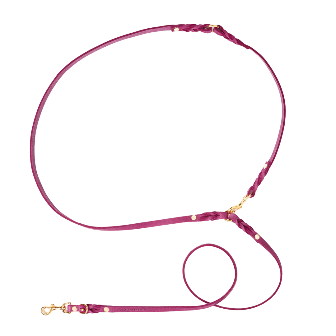 Adjustable leather dog leash with soft braided handle and solid brass clasps, handmade in Austria