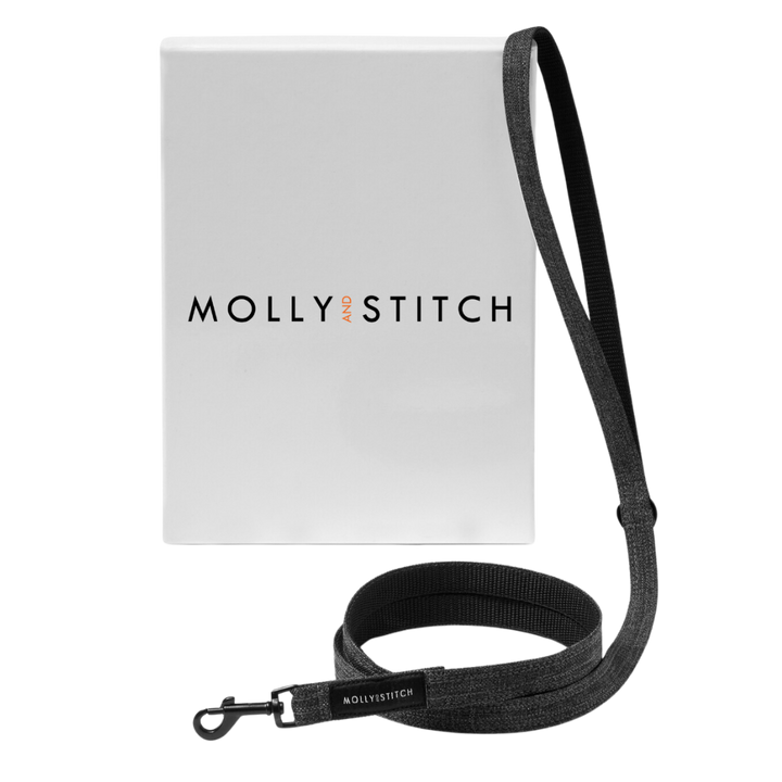 Soft Rock City Leash - Grey