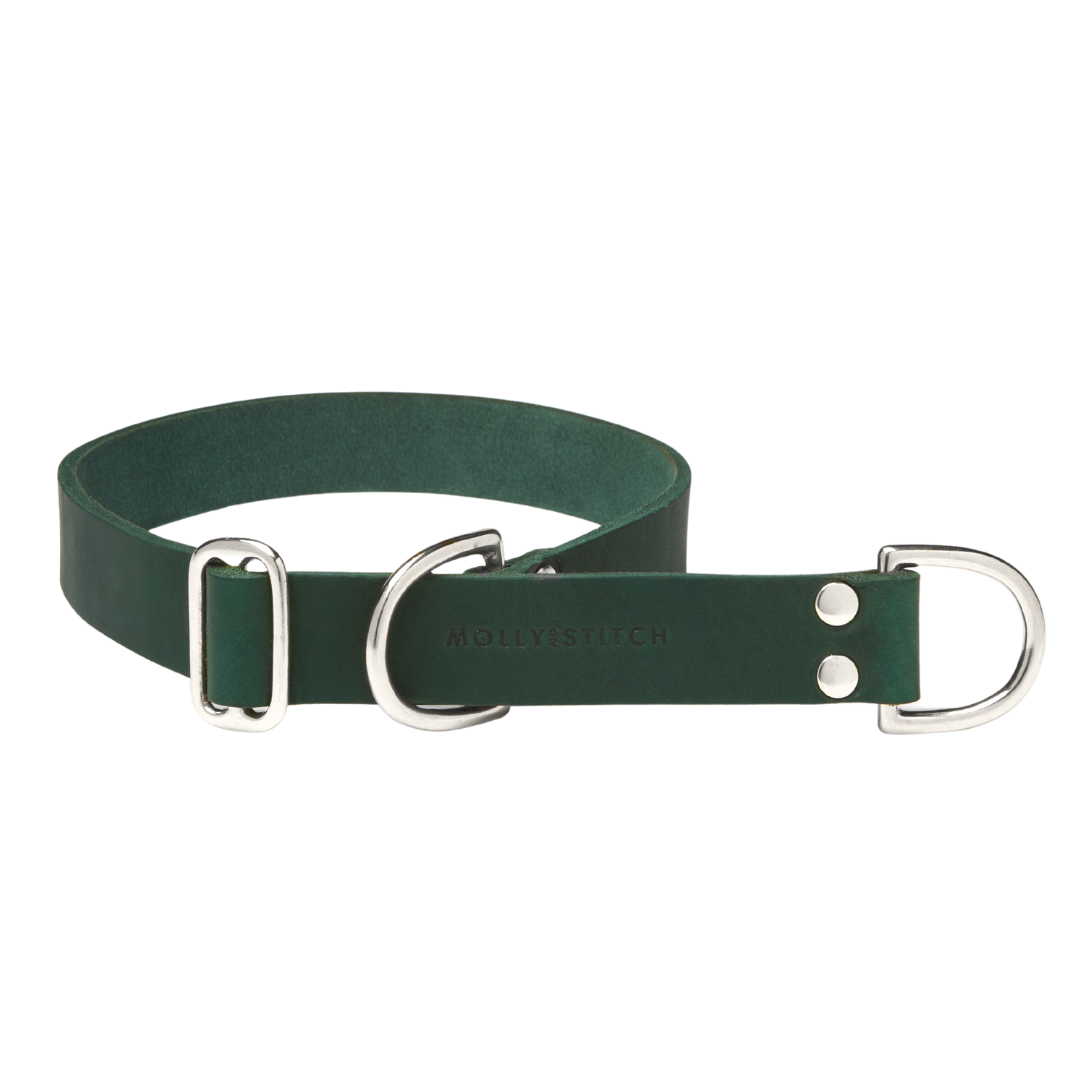 Butter Leather Retriever Dog Collar - Forest Green