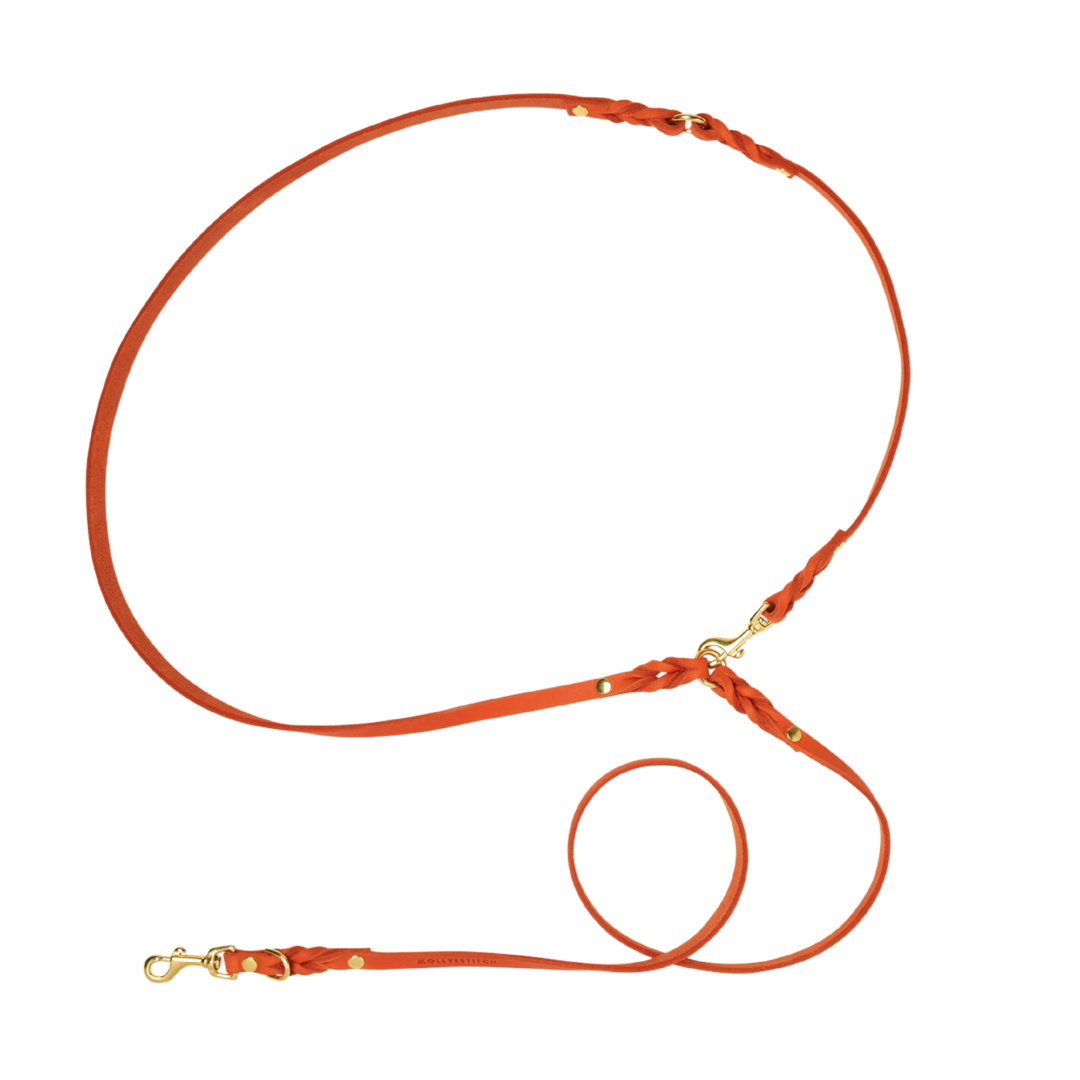 Elegant 6.5-foot dog leash made from genuine German leather and featuring steel hardware