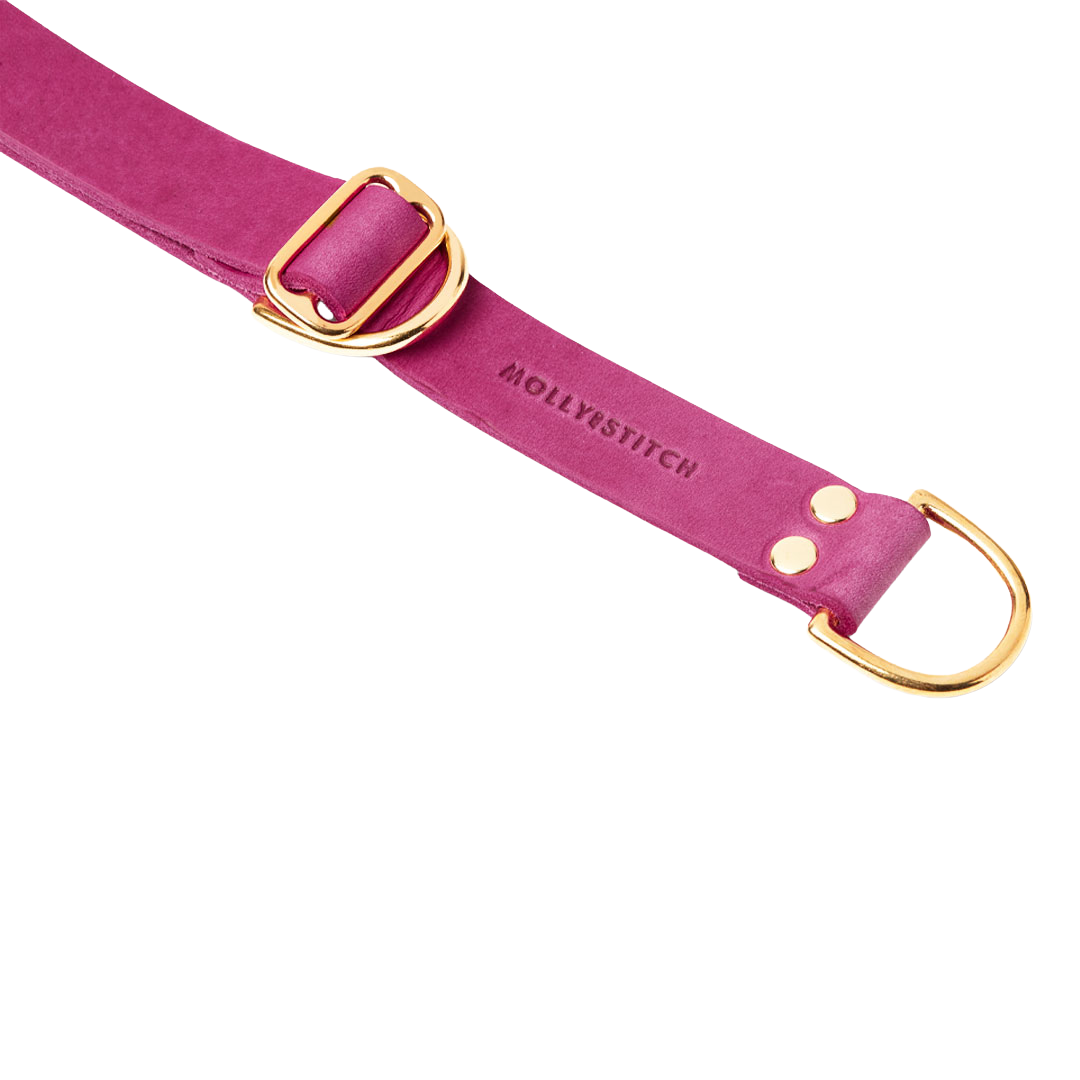 Butter Leather Retriever Dog Collar - Flamingo