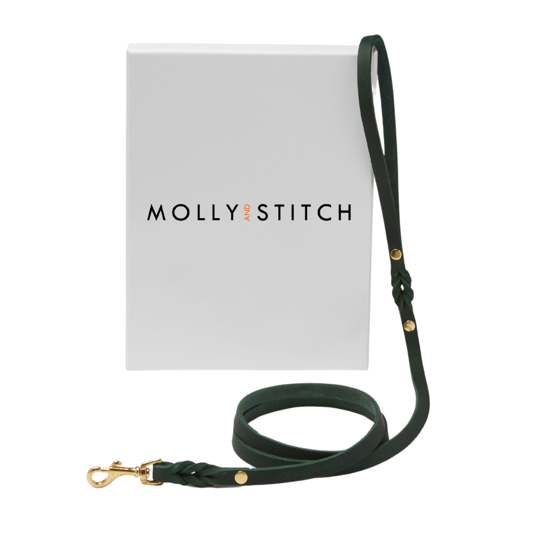 Forest Green leather leash with solid steel clasps, hand-braided details, and adjustable length