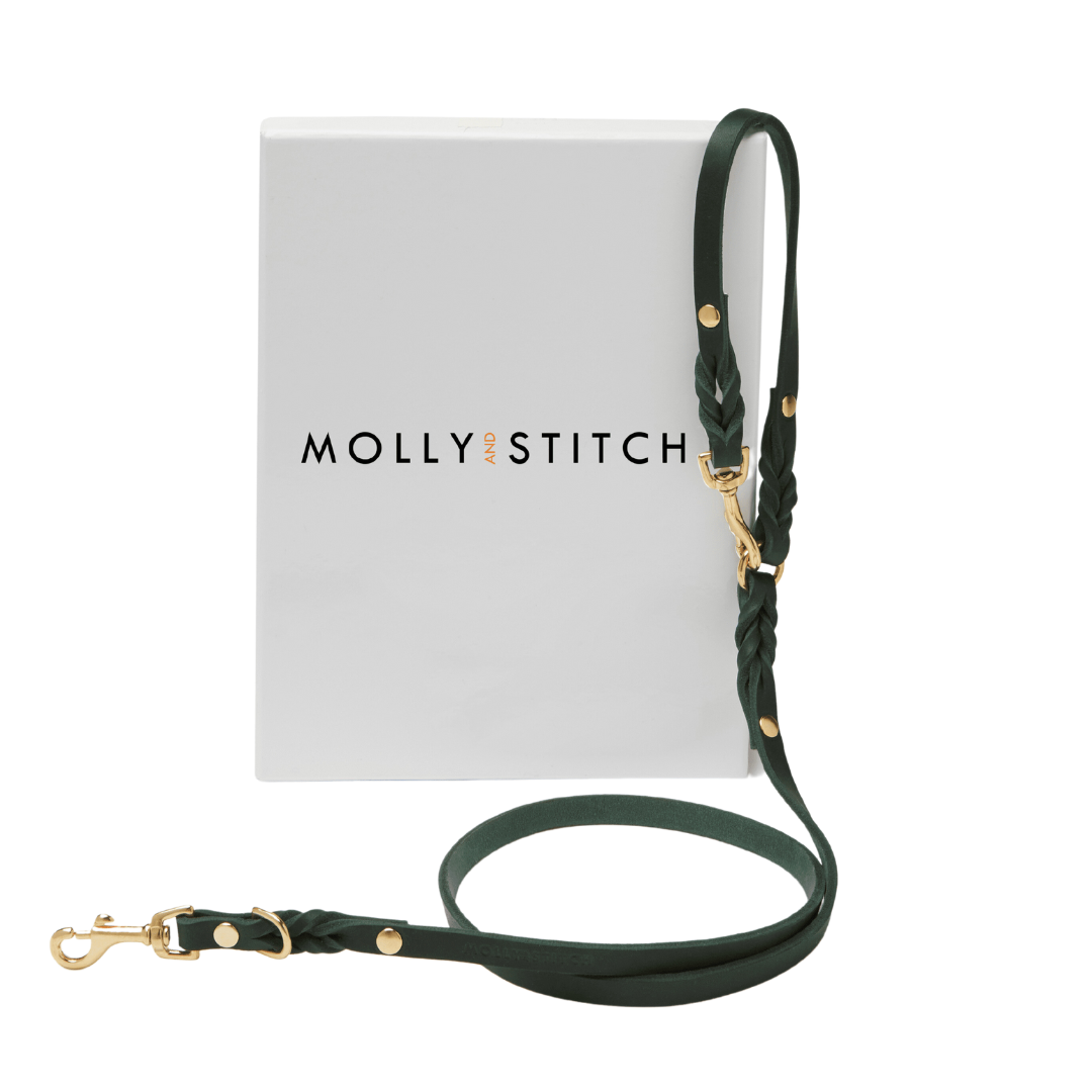 Forest Green leather leash with braided detailing and adjustable length, handmade in Austria.